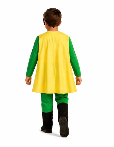 Disfraz Súper Robin