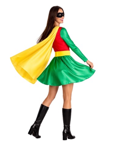 Super Robin costume