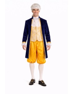 Déguisement de Louis XV