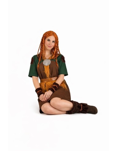 Costume de Viking
