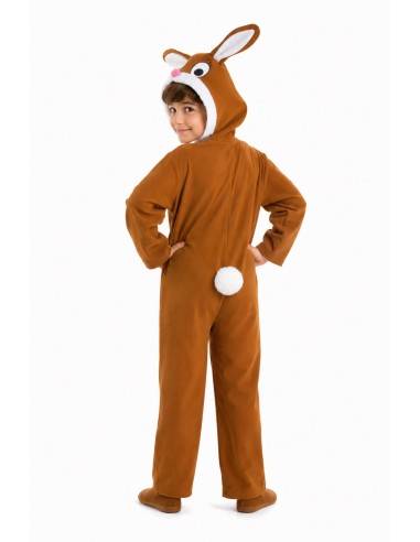 Rabbit costume