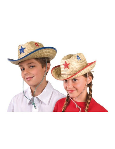 Chapeau Riley 2 Couleurs assorties - Haute qualité, Idéal pour carnaval, festivités thématiques et événements spéciaux