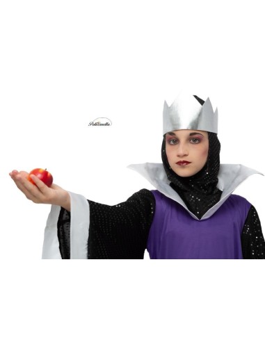 Déguisement Reine Sorcière des Neiges...