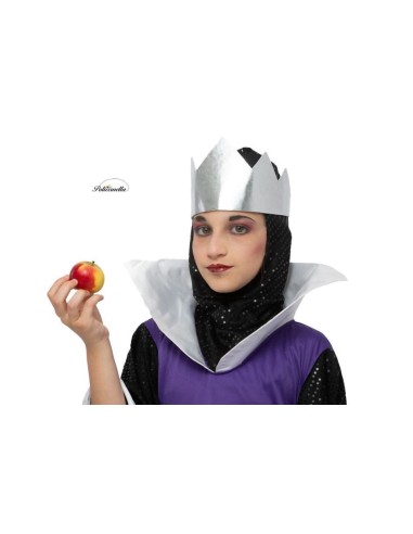 Déguisement Reine Sorcière des Neiges...