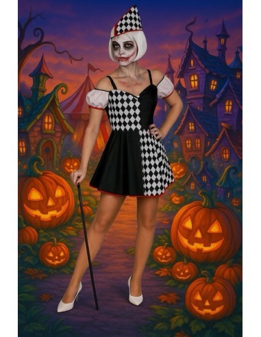 Harley Quinn Costume Size M