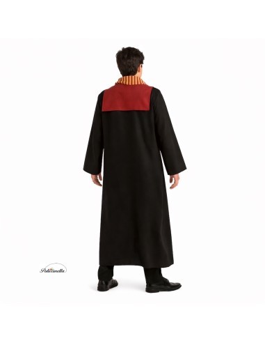 Costume de magicien
