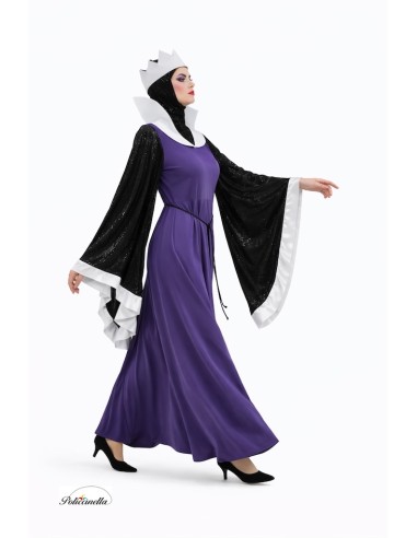 Costume Queen Witch of the Snows New