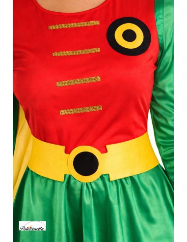 Déguisement de Super Robin.