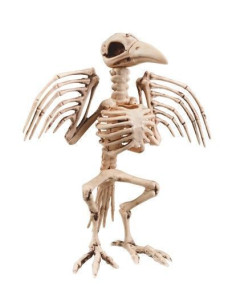 skeleton Cuervo (32 cm) - Hohe Qualität, ideal für Karneval, Themenfeierlichkeiten und besondere Veranstaltungen