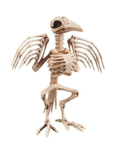 skeleton Cuervo (32 cm) - High Quality, Ideal for Carnival, Theme Festivities and Special Events