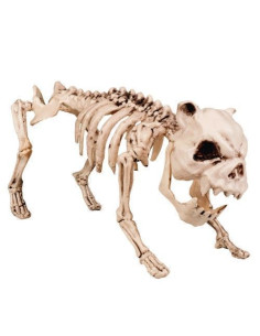 skeletthund (42 cm) - Hohe Qualität, ideal für Karneval, Themenfeierlichkeiten und besondere Ereignisse